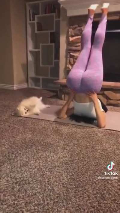 Flexible