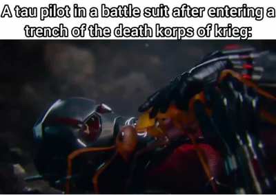 funny fact: In one story, when a Tau entered the trenches of the kriegs, they ended up charging at him like ants. 