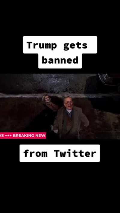 I found this video online, I hope you guys find it as funny as I did. (How trump got banned from Twitter)