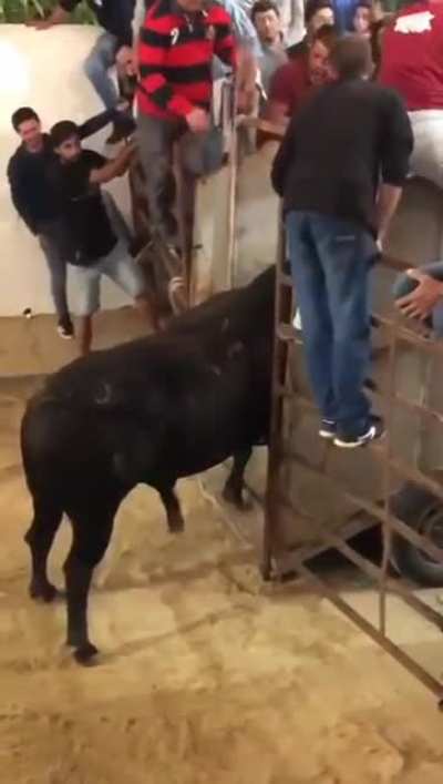 i must go, the rodeo people need me