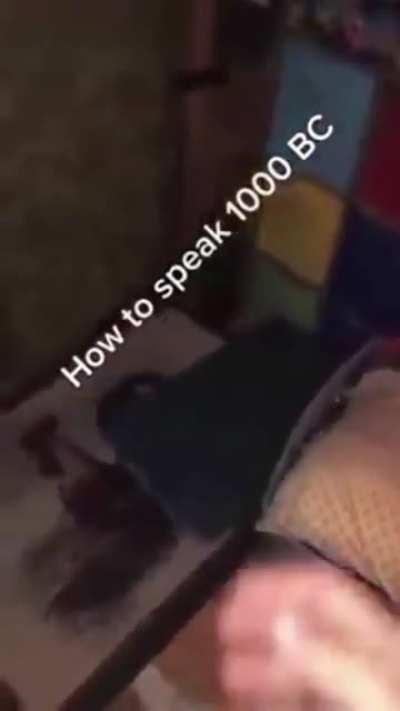 1000 BC