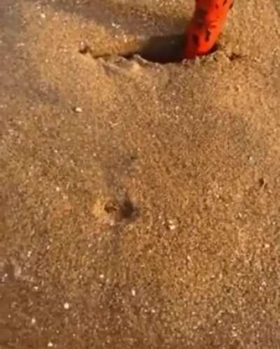 Beautiful beach.