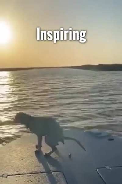 Beautiful sunset