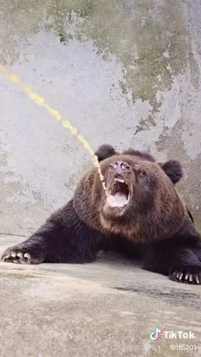 title