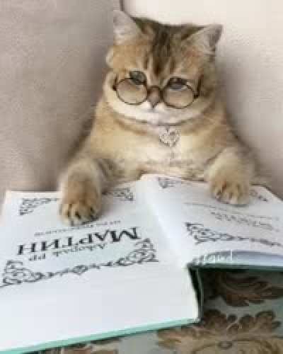She do be reading tho
