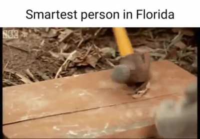 Florida moment