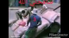 The funny video ahahah 😂🤣😂😂
