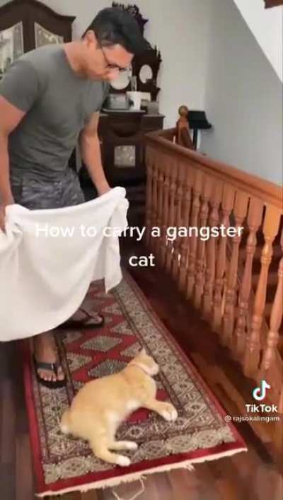 That sure was effective huh