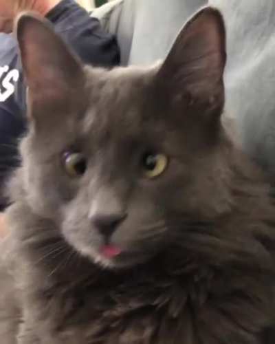 MRW I wake up in the middle of an online class and there complicated math all over it