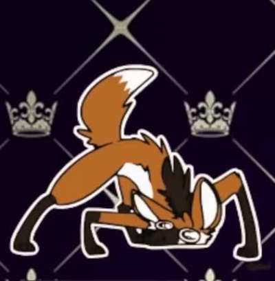 furry_irl