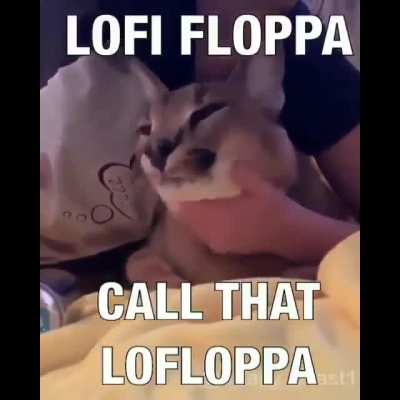 Lofloppa is floppin
