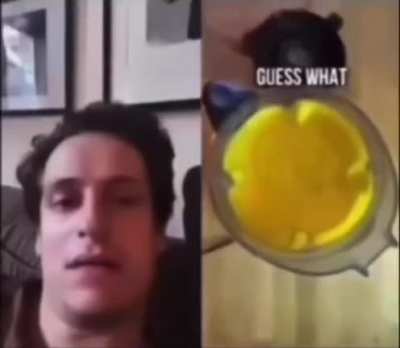 cheesauc