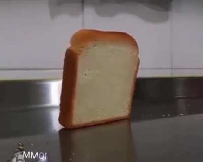 Bread