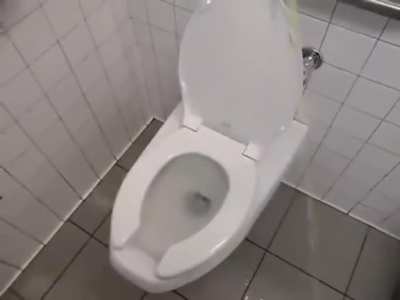 what the fuck