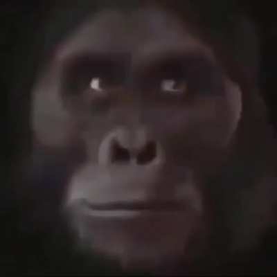 Be monké