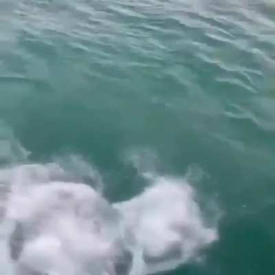 Ceasar!!!