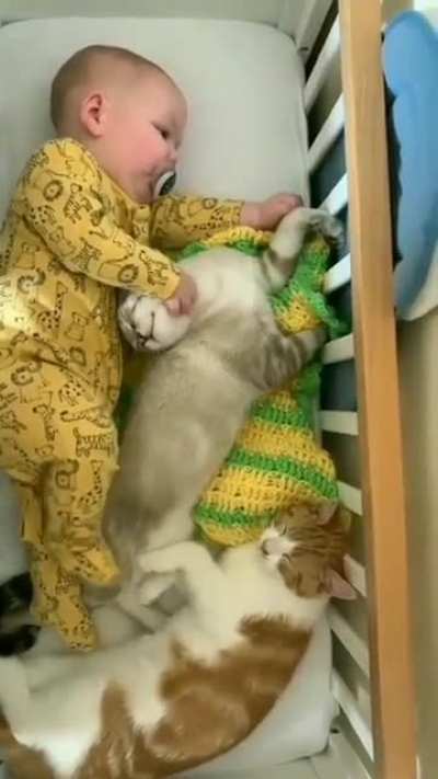 Snuggled up