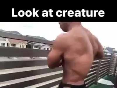 Look at it (Heil Spez)