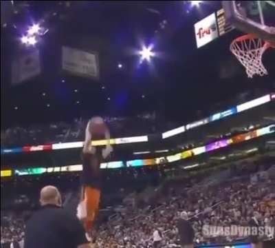 Nice shot