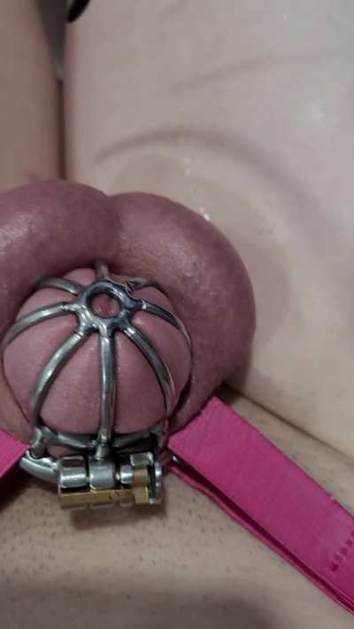Let me wreck your ass with my cock