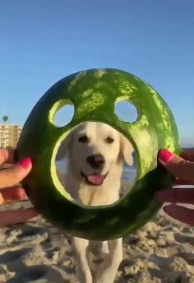 The hero we all need right now