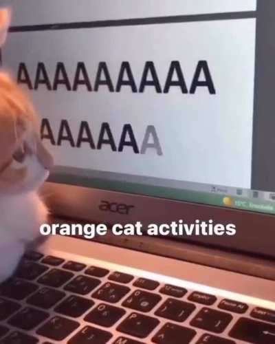 AAAAAAAAAAAAAAAAAAA