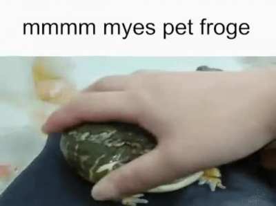 unban frog, i just got unbanned so i gave you this.