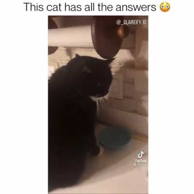 He has all the answers