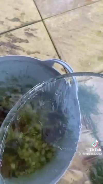 So satisfying