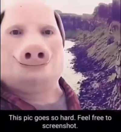 Furry porn