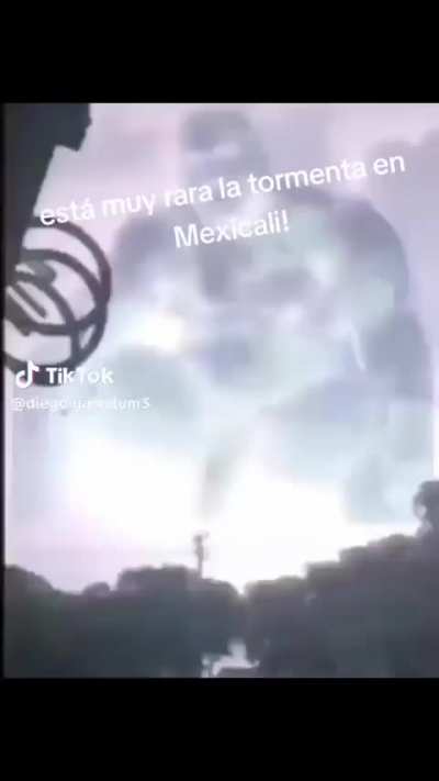 Xd