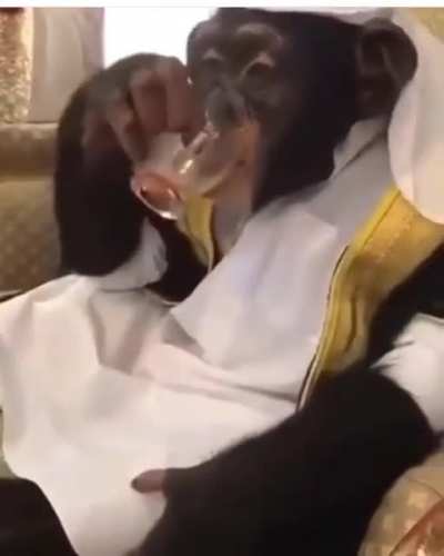 monke drip 😳