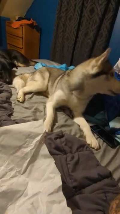 BUT MOOOOOOOOOM