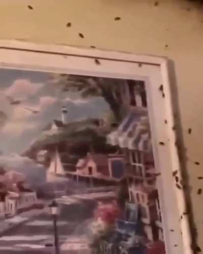 This is what happens if you neckbeards don’t use cleaning supplies