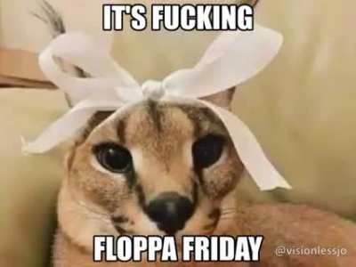floppa friday