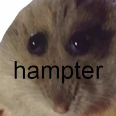 Simplemente un hampter