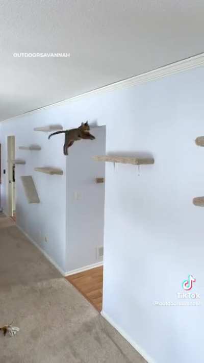 Wall furniture