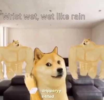 Doge really be out here balling