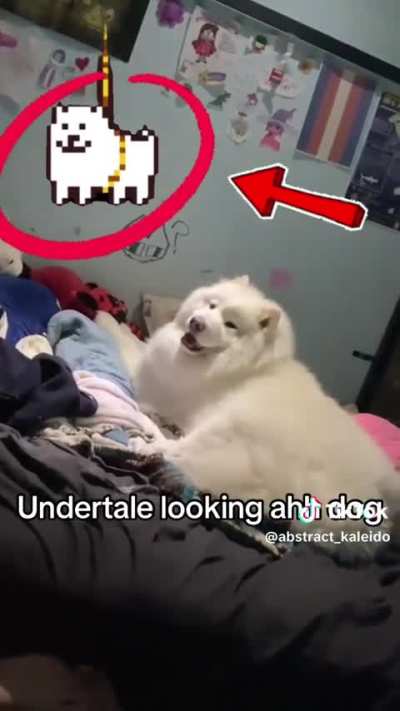 Wunktale 