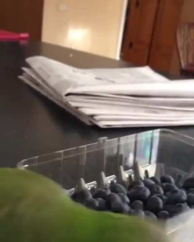Getting frustrated with inanimate objects