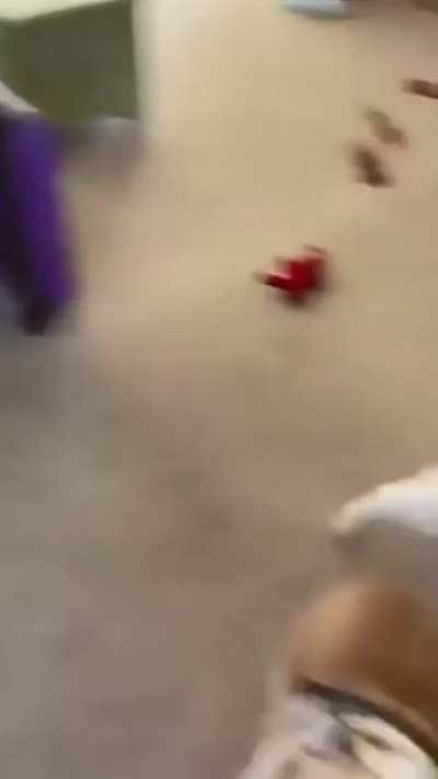 Run!