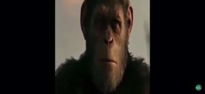 Its Monke time