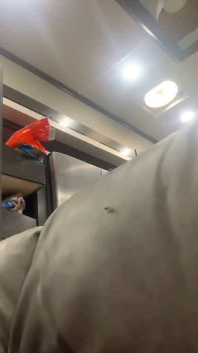 Brutal Fly Thugs