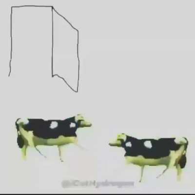 Son?