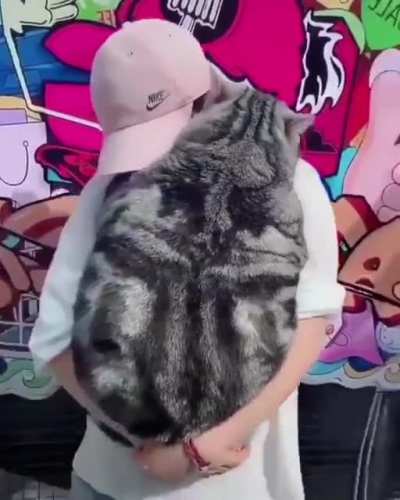 The god of chonks!
