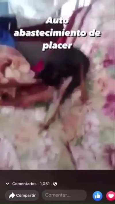 ????