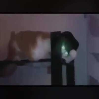 Michael Catson