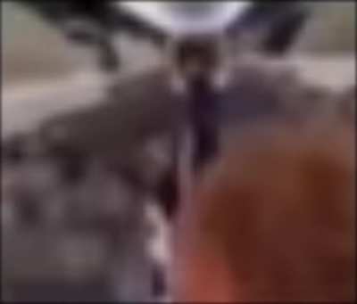 Iâm bout to bomb this whole motufuckin plane