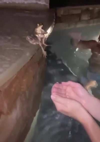 God