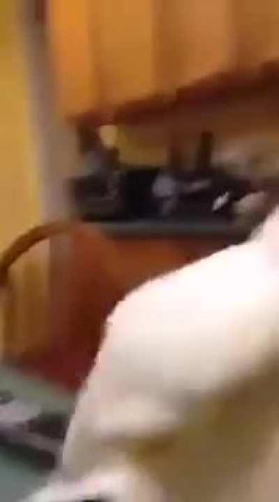 Oi